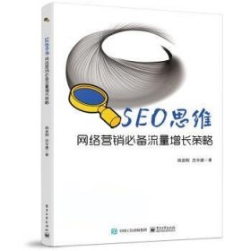 SEO思维――网络营销必备流量增长策略