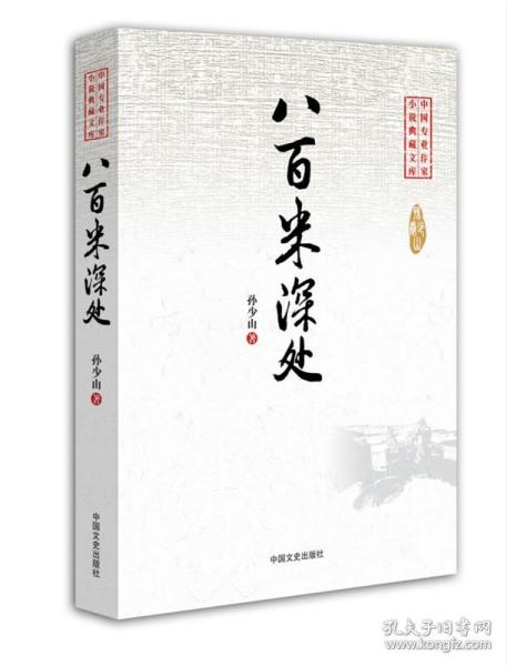 八百米深处（中国专业作家小说典藏文库）