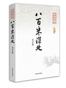 八百米深处（中国专业作家小说典藏文库）