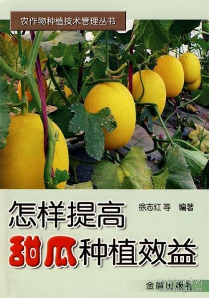 怎样提高甜瓜种植效益