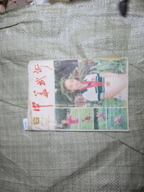 中华武术1984-6[J16-4284]