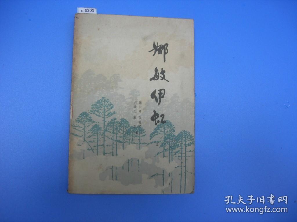 娜敏伊虹[c5205]