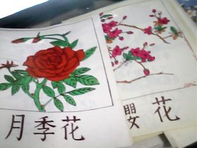 幼儿教学挂图.（图：牵牛花.牡丹.茶花.玉兰花.芍药.樱花.鸡冠花.水仙.芙蓉.杜鹃花.扶桑花.梅花.大丽花.桃花.菊花.月季花.步步高.驴.老鼠.白兔.鸽子.共21幅.长38厘米X宽27厘米）