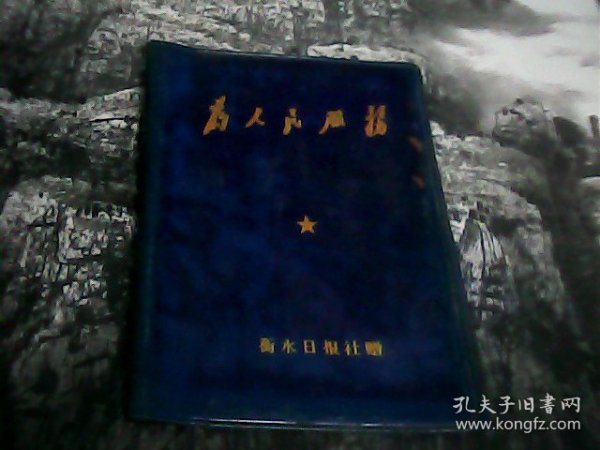 为人民服务塑料本皮（衡水日报社赠）--存放铁橱柜（4）