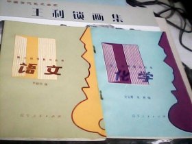 化学+语文（青工统考复习丛书.2册合售）