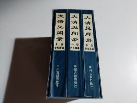 大清见闻录(全三卷)