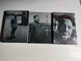 邓小平时代