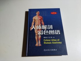 人体解剖彩色图谱