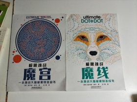 极限挑战：魔线、魔宫（两册合售）