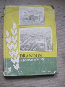 BRANDON a prospect of a city 布兰登描绘了一座城市的远景