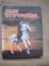 СЫН отечества 祖国之子