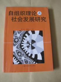 自組織理論與社會(huì)發(fā)展研究