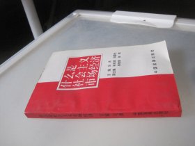 什么是社会主义市场经济