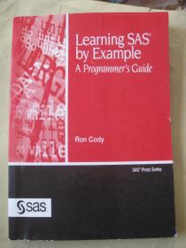 Learning Sas By Example