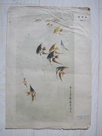 1973年八开宣传画:黄独峰作热带鱼