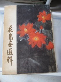 花鸟画选辑 12张全