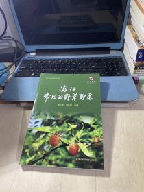 浦江常见的野菜野果