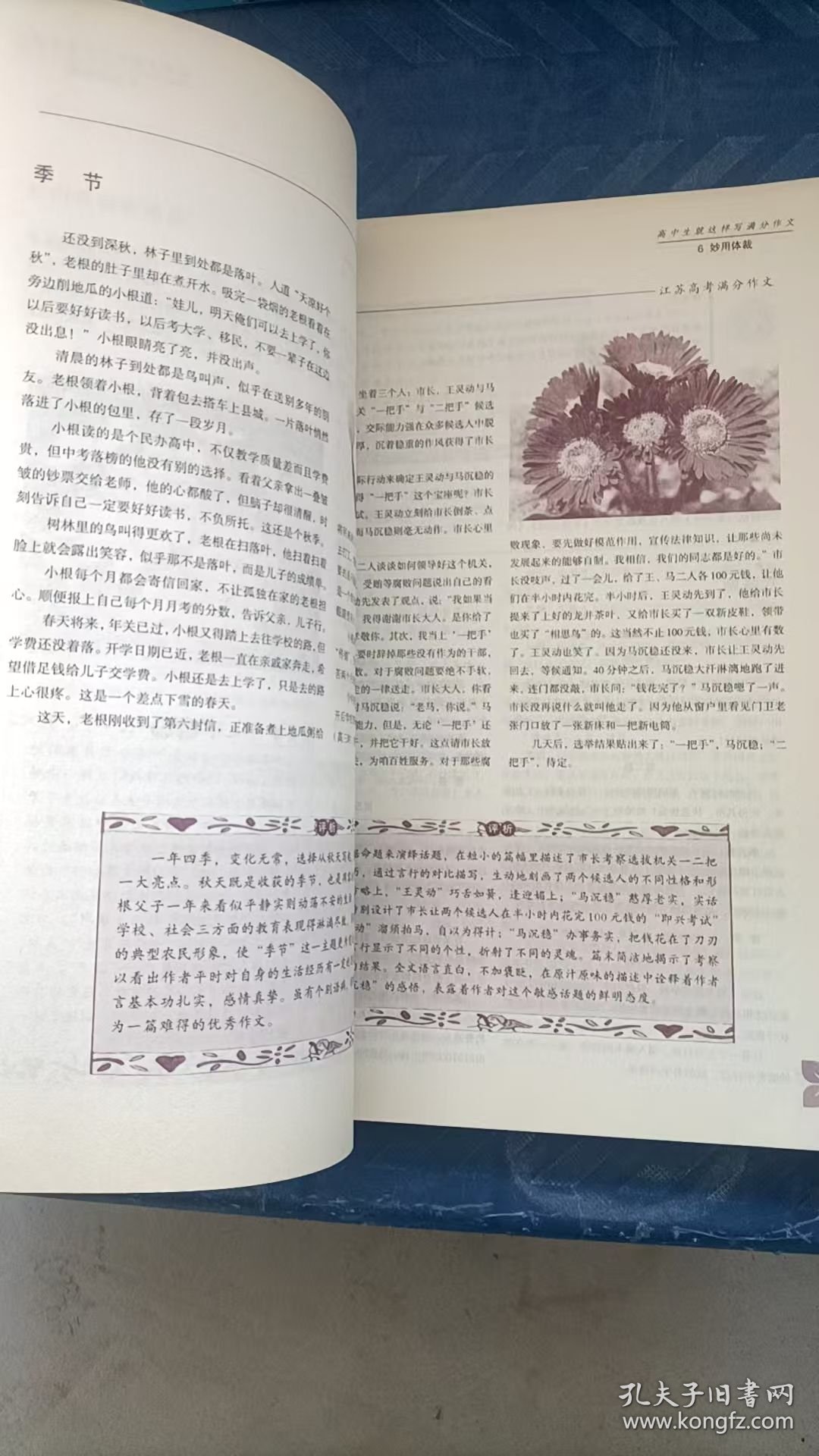眼界大开：高中生就这样写满分作文 孔庆东语文出版社