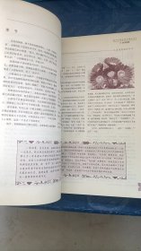 眼界大开：高中生就这样写满分作文 孔庆东语文出版社
