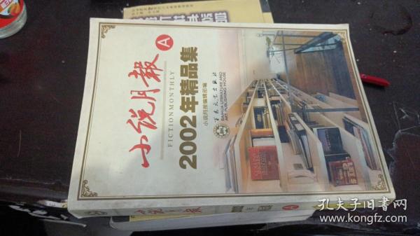 小说月报2002年精品集