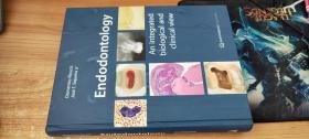 【英文原版】 Endodontology: An Integrated Biological and Clinical View: An Integrated Biology and Clinical View牙髓病学：生物学与临床相结合的观点：生物学和临床相结合