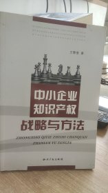 中小企业知识产权战略与方法  王黎萤  著  知识产权出版社