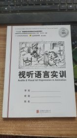 视听语言实训    孙立军  著  北京联合出版