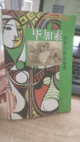 毕加索 生平与作品鉴赏  世界绘画摄影大师画传   王静  等  著  远方出版社