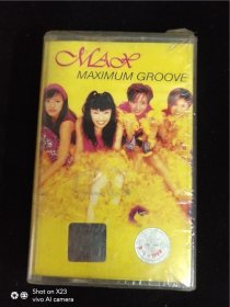 MAXIMUM-GROOVE（未开封）