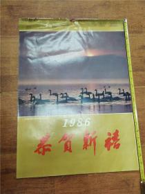 1986年日本著名摄影家黄金树摄影艺术作品