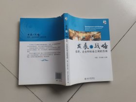 发展与战略：—政府、企业和社会之间的互动