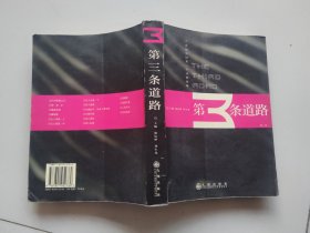 第三条道路:21世纪中国第一个诗歌流派.第二卷