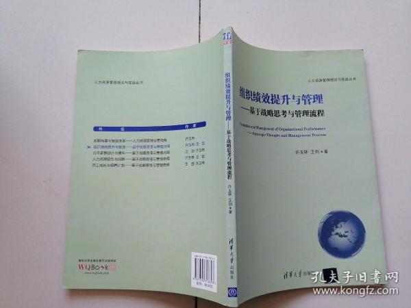 人力资源管理理论与实践丛书·组织绩效提升与管理：基于战略思考与管理流程