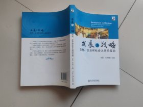 发展与战略：—政府、企业和社会之间的互动