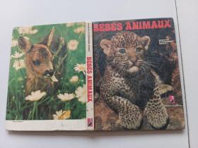 ВÉΒÉS ANIMAUX