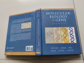 Molecular Biology of the Gene 基因的分子生物学第七版