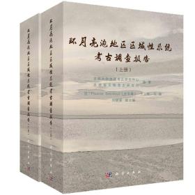 环月亮泡地区区域性系统考古调查报告（上下册）