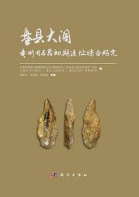 盘县大洞：贵州旧石器初期遗址综合研究 9787030361233