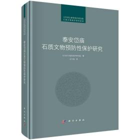 泰安岱庙石质文物预防性保护研究 9787030698193