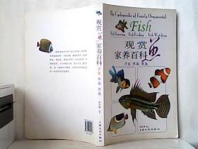 观赏鱼家养百科（识鱼·养鱼·赏鱼）