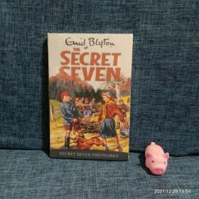 The Secret Seven 11