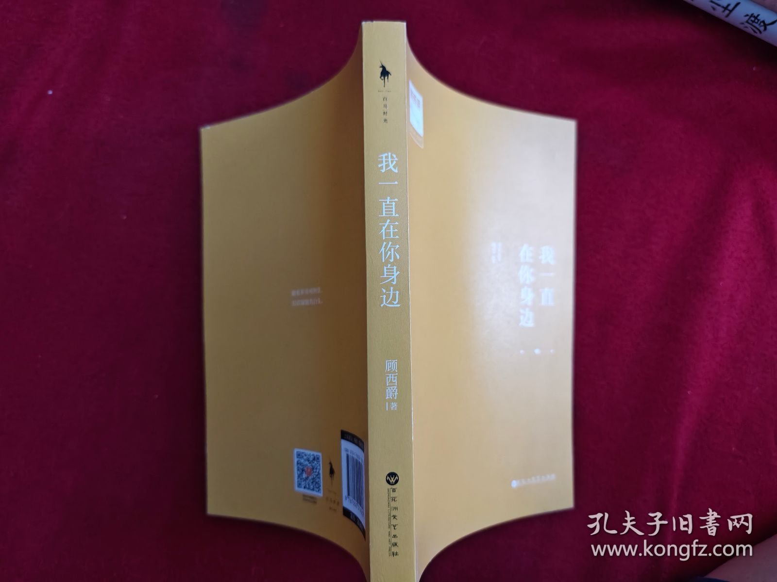 我一直在你身边