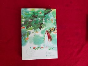 以你为名的小时光