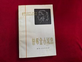 普希金小说集