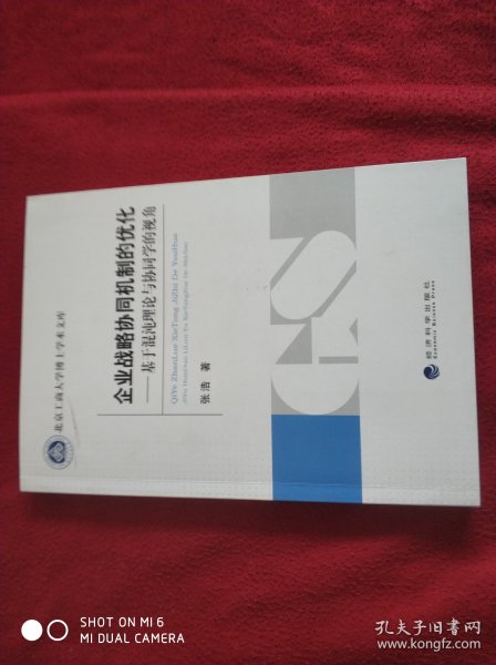 企业战略协同机制的优化：基于混沌理论与协同学的视角