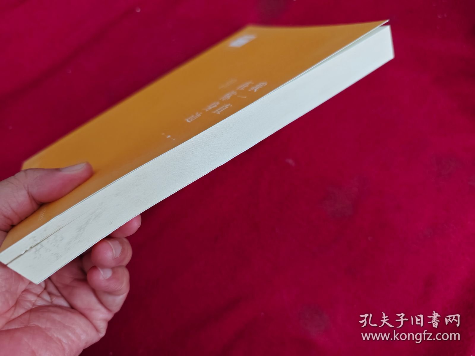 我一直在你身边