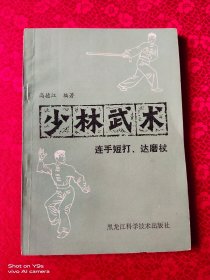 少林武术 连手短打 达磨杖