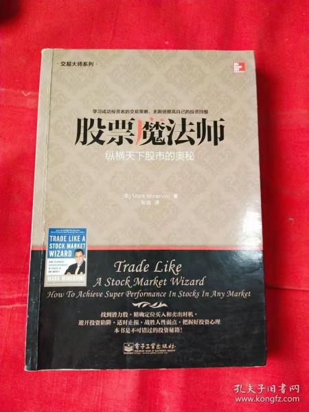 交易大师系列 股票魔法师——纵横天下股市的奥秘