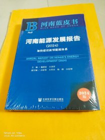 河南蓝皮书 河南能源发展报告（2024）加快建设新型能源体系