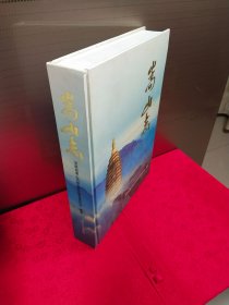 嵩山志